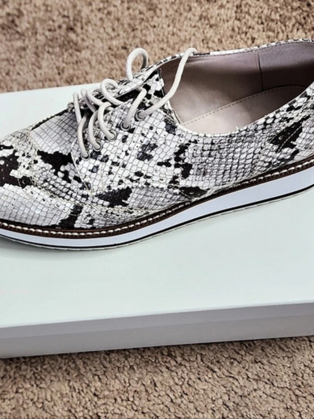 Shelly's London Emma Snake Print Lace-Up Flats. Size 8.5